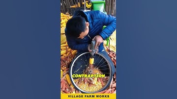 Genius Corn Shelling Trick 🤯 #CornHarvest