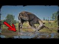 A Deer gets Attacked by invisible predator ▶️ Red Dead Redemption 2 PC