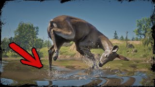 A Deer gets Attacked by invisible predator ▶️ Red Dead Redemption 2 PC