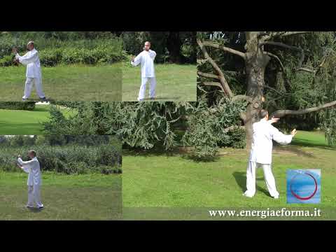 13 Form Tai Chi - Posture 02 - Clouds Hands - Free Lesson - Tai Chi Online.com