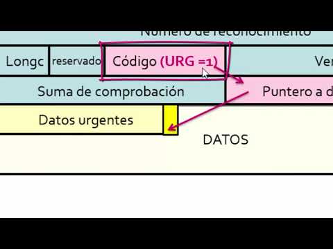 Video: ¿Qué es el segmento para explicar cada campo del segmento TCP?