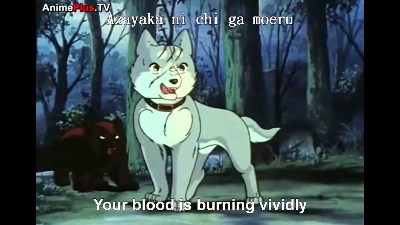 Fan Ginga nagareboshi gin Opening New