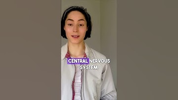 MCQ Q&A Unlocking Catecholamine Secrets