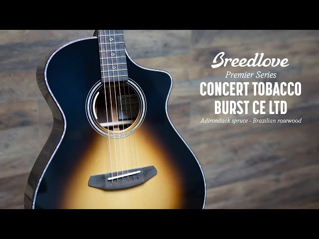 Inside Breedlove's Thinline Acoustic Guitar Series - Premier Guitar