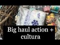 Haul #1 / Big Haul Action + Cultura / Fin Octobre 2018 / Le Petit Jardin De Bob
