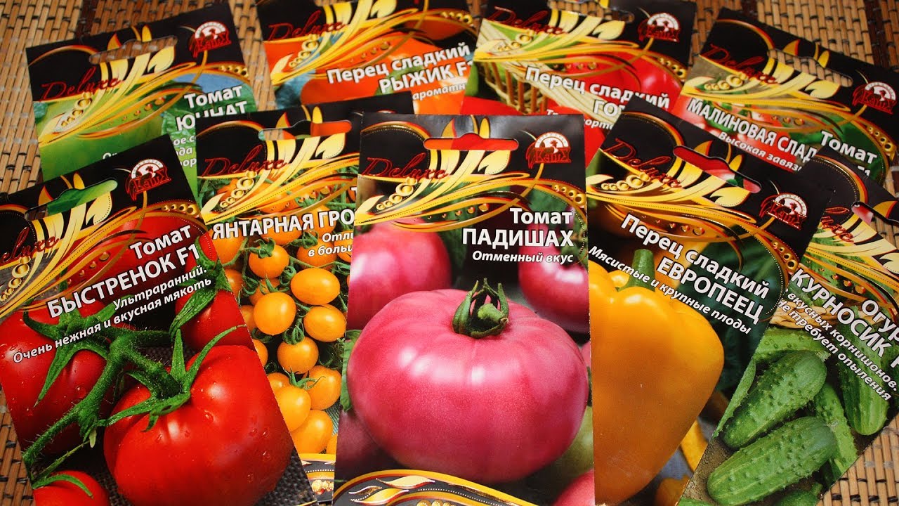 Какие семена выбрать – томаты, баклажаны, перцы и огурцы