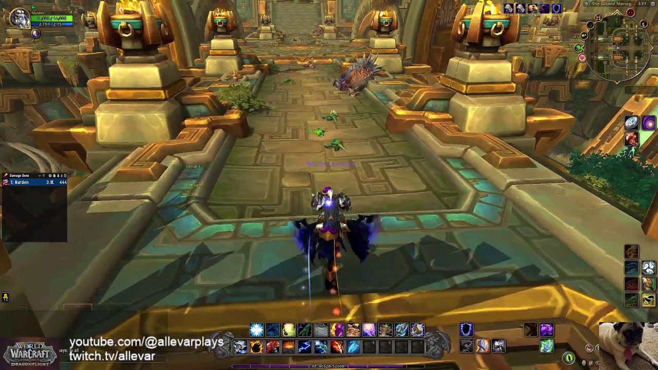 WoW Dragonflight Questing/Dungeoning