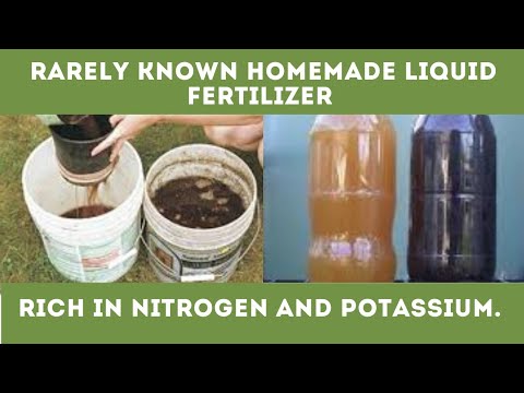 Use This Homemade Liquid Fertilizer As A Rich Source Of Nitrogen And Potassium For Your Plants.