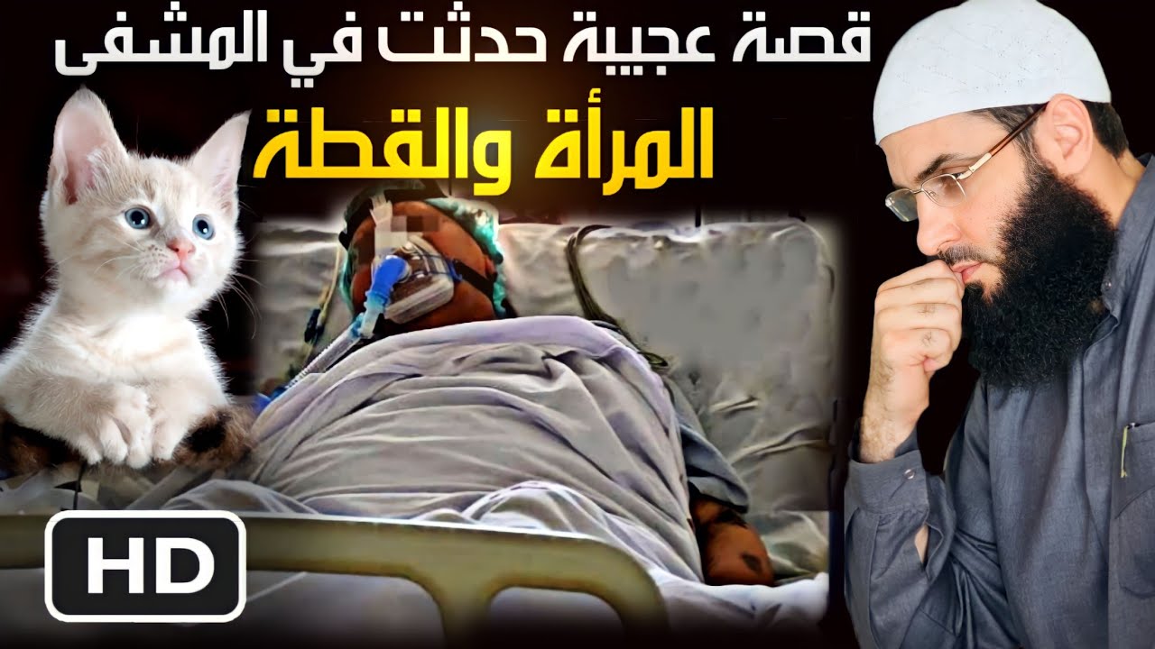 أمر عجيب حدث لامرأة في العناية المشددة بسبب قطة  قطة رائعة #@ALMOUTAWAKEL