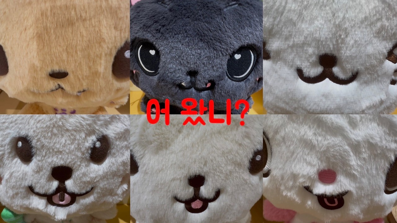 위시베이커리 다녀왔습니다