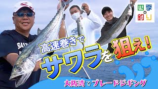 大阪湾でブレードジギング　高速巻きでサワラを狙え！（四季の釣り/2022年10月14日放送）