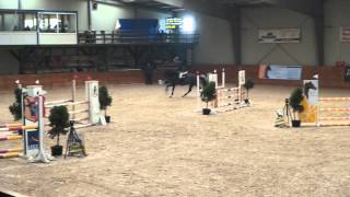 MTJ Carnaval  4yo stallion  HPLMK 18.10.