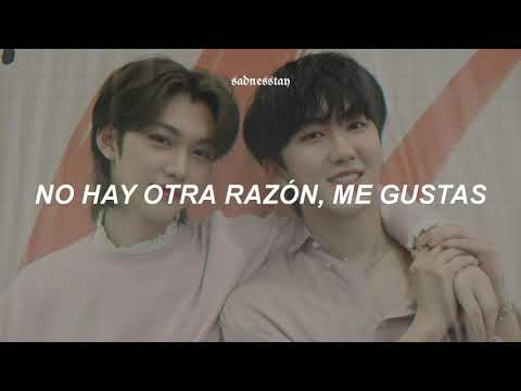 Skz Record Changbin Felix 좋으니까 Because I Love You Sub Esp 