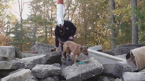 Firefighters trained for structural collapse calls in Virginia Beach this week