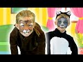 ADORABLE Animal Face Paint | Face Paint for Kids | Funtastic TV