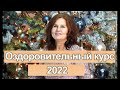 Оздоровительный курс 2022 | Анна Сечкина