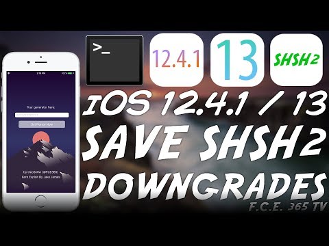 iOS 12.4.1 / iOS 13-iOS DOWNGRADES 및 JAILBREAK 용 SHSH2 Blob 저장 방법 (2 가지 방법)