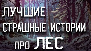 картинка: СТРАШНЫЕ ИСТОРИИ НА НОЧЬ / СТРАШНЫЕ ИСТОРИИ ПРО ЛЕС / СТРАШНЫЕ ИСТОРИИ ПРО ДЕРЕВНЮ / ВЕДЬМЫ