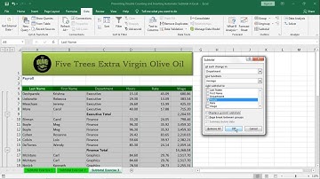 Lecture 27 - Excel - Preventing Double Counting and Inserting Automatic Subtotal