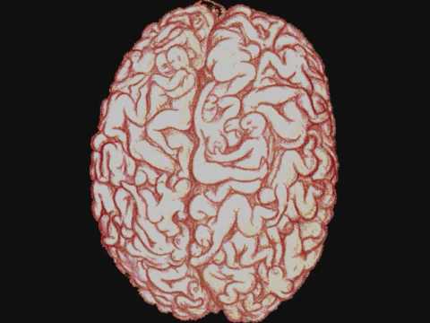 What Is Brain Sex 41