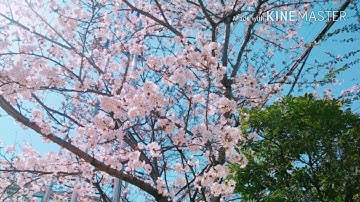 죄송해요.... 유트브 이제 접을거예요... 너무 힘들었어요ㅜㅜ (설참...)