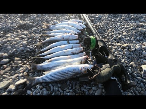 Кефаль или ювелирная Подводная охота. Перезалив.