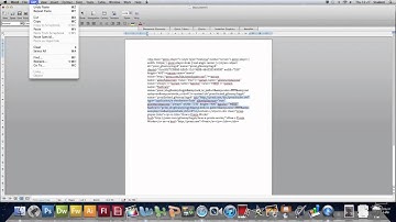 HOW TO EMBED PREZI INTO WORDPRESS