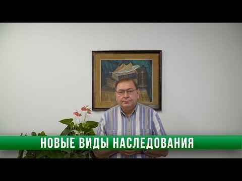 Новые виды наследования | RsDC Group