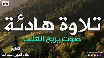 ان الله يدافع عن الذين امنوا #تلاوة هادئة بصوت يريح القلب💚 ||القارئ علاء الدين عبد الله