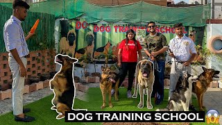India’s Best Dog Training School For Aggressive Dogs😱