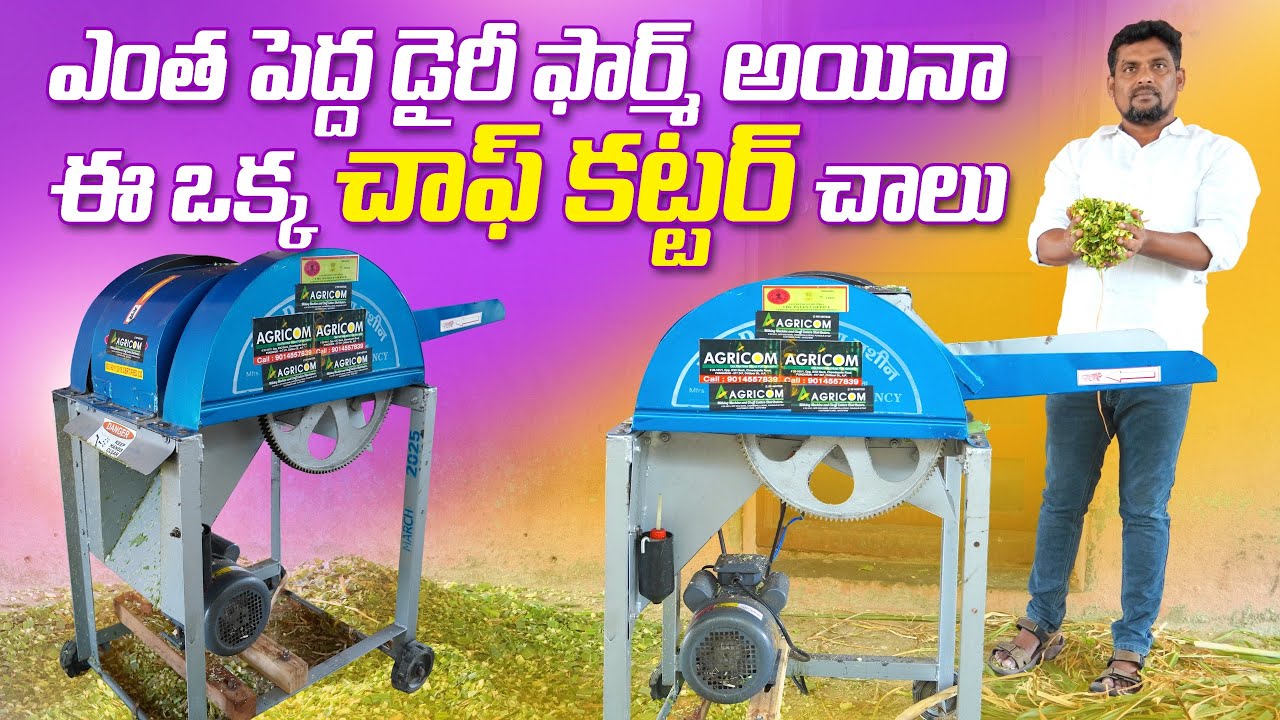 ఎంత పెద్ద డైరీ ఫార్మ్ అయినా ఒక్కటే చాఫ్ కట్టర్ | Chromium Blade Chaff Cutter | AgriTech Telugu