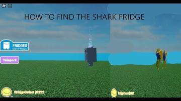 How To Find The Shark Fridge In Find The Fridges