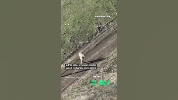 Ukrainian FPV Drone Operator Shows Mercy and Saves Russian Soldier #warinukraine #drone