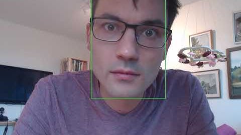 Face Recognition: Visual Servoing using a DCNN