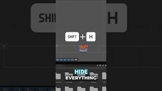 Hide Everything Except One Object in Unity