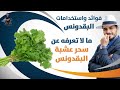 فوائد البقدونس / مالا تعرفه عن اهمية واستخدامات عشبة البقدونس