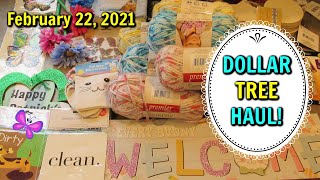 Fun New DOLLAR TREE HAUL!  February 22, 2021  #LeighsHome