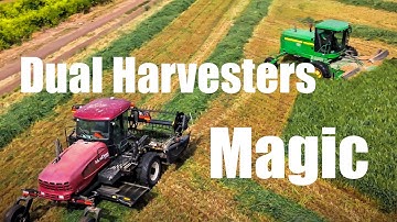 HARVEST TIME | Dual Combines in Harmony – A cinematic 4K Drone