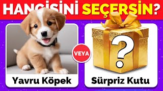 Hangisini Tercih Edersin?🤔 Sürpriz Hediye Kutusu Özel 🎁🐶