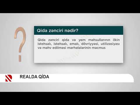 Qida zənciri nədir?