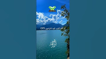 إن للمتقين عند ربهم|| تلاوة من سورة القلم|| اسامة عبدالرحمن #quran #حالات_واتس #اكسبلور #قرآن