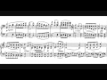 Franz Schubert - Piano Sonata D. 958