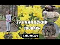 Зоопарк.Таллинн.Эстония.Весна в таллиннском зоопарке.Зоопарк расширяется.Tallinn Zoo. Семейный влог