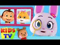 Who Stole My Toy | Loco Nuts Cartoon | Kids Tv Nursery Rhymes | Baby Songs | Cartoon Videos