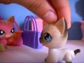 Littlest Petshop: Une vie en famille nombreuse (Partie #4)