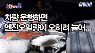 차박사TV_186회, 차량 운행하면 엔진오일량이 오히려 늘어