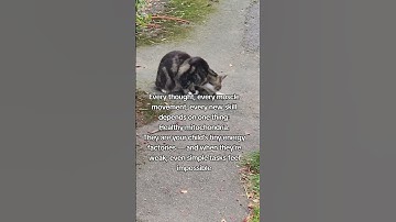 The beginning starts like this and daily practice make you a pro ...Key is consistency.. #autism