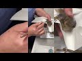 Middle of video