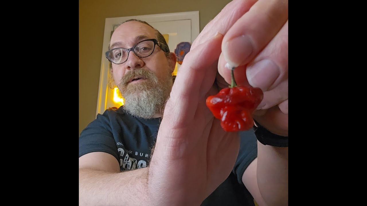 Обзор перца Grape of Wrath – обманчиво фруктовый, невероятно острый, с медленно нарастающим жжением.