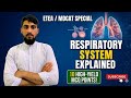 What is respiratory  system  explain by Muhammad zubair  2nd year  biology